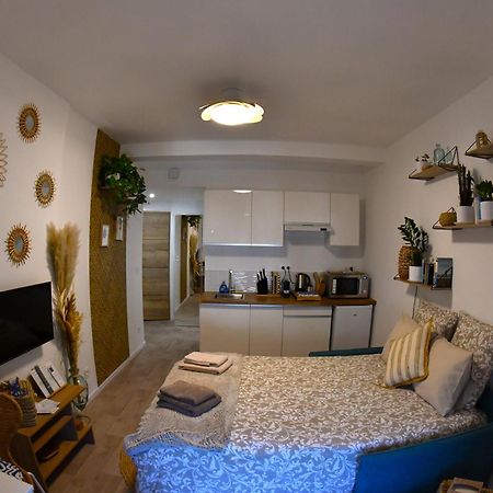 Studio Elegance Naturelle Proche Gare Voiron Exterior foto